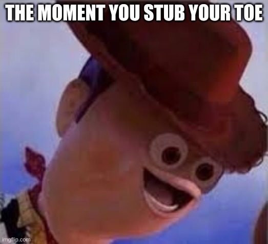 toes | THE MOMENT YOU STUB YOUR TOE | image tagged in toes,stub your toe,memes,woody,funny memes,relatable | made w/ Imgflip meme maker