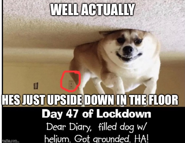 Ppl r gonna call this repost coz its got another prsons meme in wont thay? | WELL ACTUALLY; HES JUST UPSIDE DOWN IN THE FLOOR | image tagged in memes | made w/ Imgflip meme maker