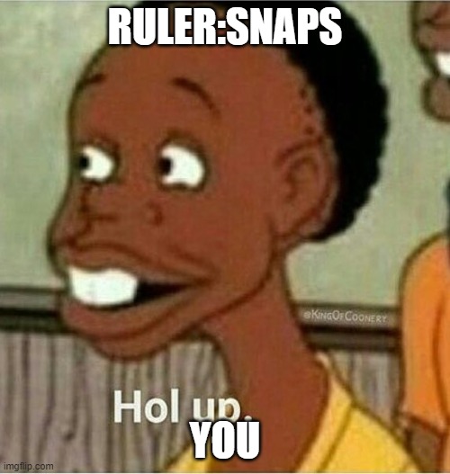 hol up | RULER:SNAPS; YOU | image tagged in hol up | made w/ Imgflip meme maker