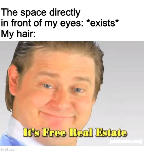 long hair be like | The space directly 
in front of my eyes: *exists*
My hair: | image tagged in blank white template,it's free real estate | made w/ Imgflip meme maker