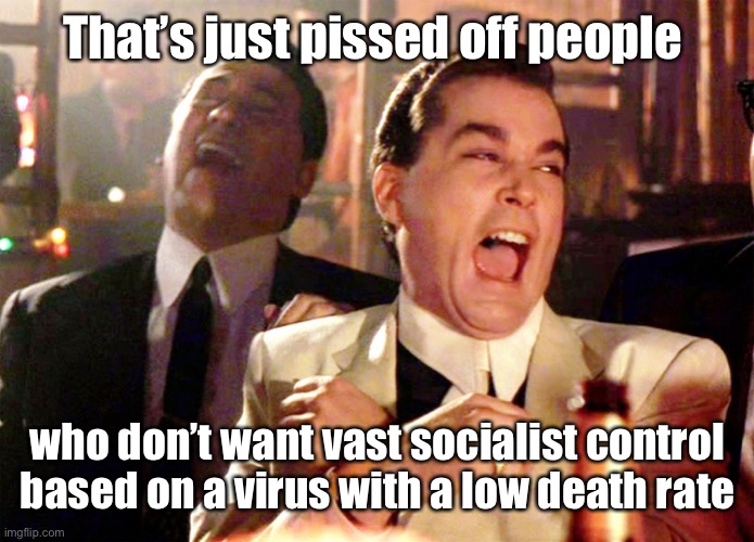 Good Fellas Hilarious Meme | That’s just pissed off people who don’t want vast socialist control based on a virus with a low death rate | image tagged in memes,good fellas hilarious | made w/ Imgflip meme maker