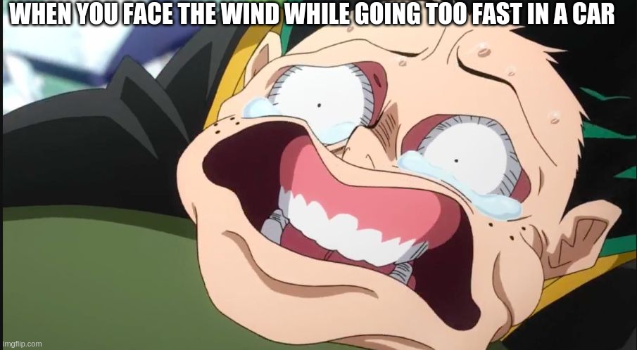 wuhuhuhuhuh | WHEN YOU FACE THE WIND WHILE GOING TOO FAST IN A CAR | image tagged in deku face,lol,car,window,wind | made w/ Imgflip meme maker