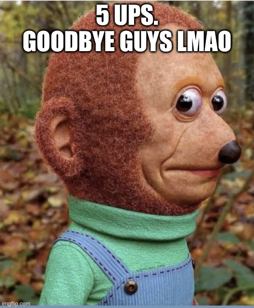 8k puppet monkey | 5 UPS. GOODBYE GUYS LMAO | image tagged in 8k puppet monkey | made w/ Imgflip meme maker