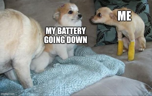 Dog Stares at dog | ME; MY BATTERY GOING DOWN | image tagged in dog stares at dog | made w/ Imgflip meme maker