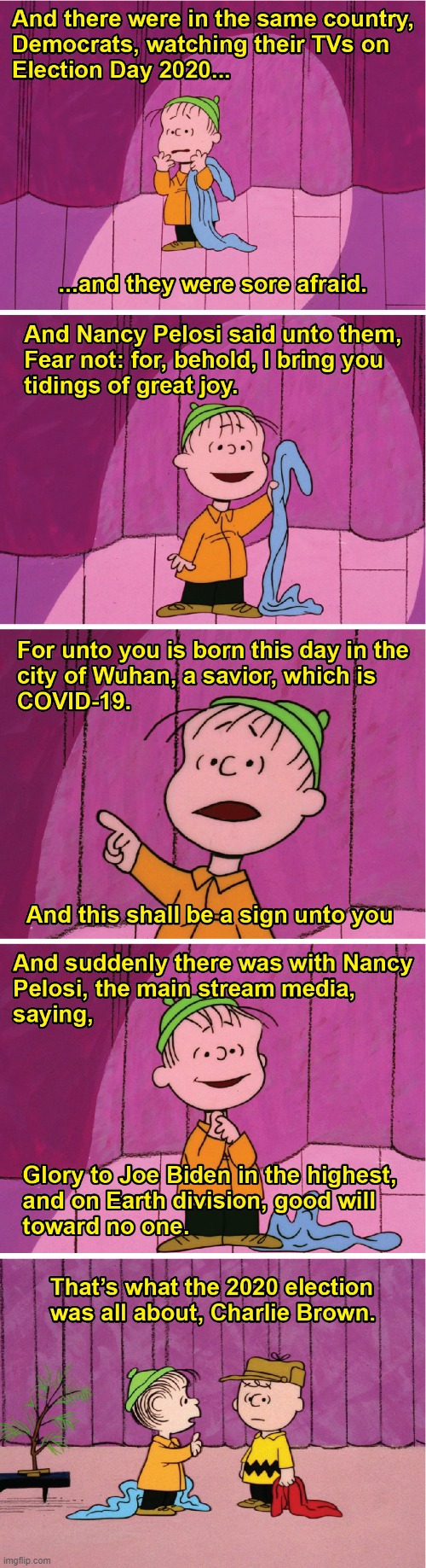 "Isn't there anyone who knows what Election Day 2020 was all about!" | image tagged in charlie brown,linus,christmas,election day 2020,memes,covid-19 | made w/ Imgflip meme maker