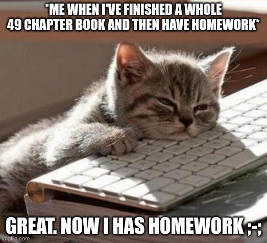 tired cat | *ME WHEN I'VE FINISHED A WHOLE 49 CHAPTER BOOK AND THEN HAVE HOMEWORK*; GREAT. NOW I HAS HOMEWORK ;-; | image tagged in tired cat | made w/ Imgflip meme maker