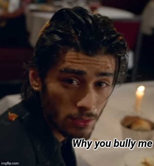 ZAYN Why you bully me | image tagged in zayn why you bully me | made w/ Imgflip meme maker