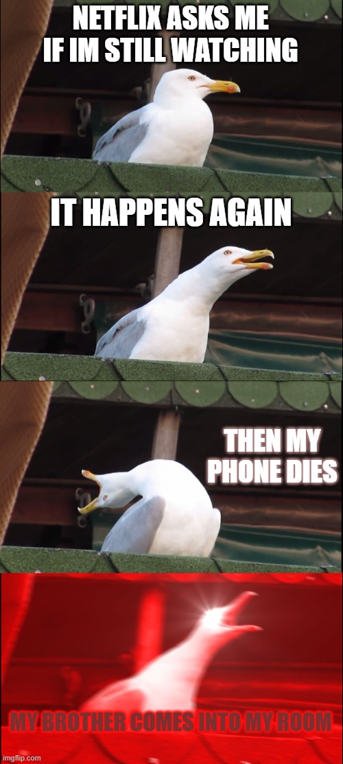 "Best" *worst* day (35 minutes) ever | NETFLIX ASKS ME IF IM STILL WATCHING; IT HAPPENS AGAIN; THEN MY PHONE DIES; MY BROTHER COMES INTO MY ROOM | image tagged in memes,inhaling seagull | made w/ Imgflip meme maker