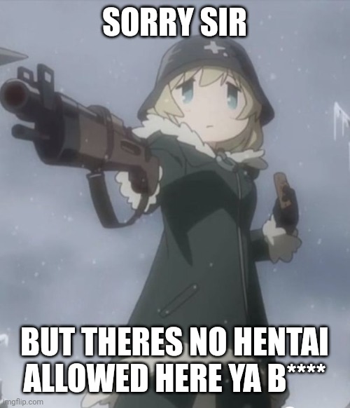 No hentai | SORRY SIR; BUT THERES NO HENTAI ALLOWED HERE YA B**** | image tagged in delete this,gun | made w/ Imgflip meme maker