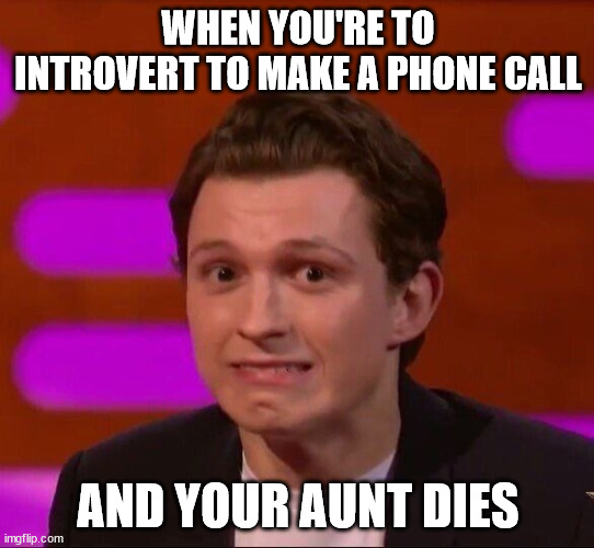 Tom Holland | WHEN YOU'RE TO INTROVERT TO MAKE A PHONE CALL; AND YOUR AUNT DIES | image tagged in tom holland | made w/ Imgflip meme maker