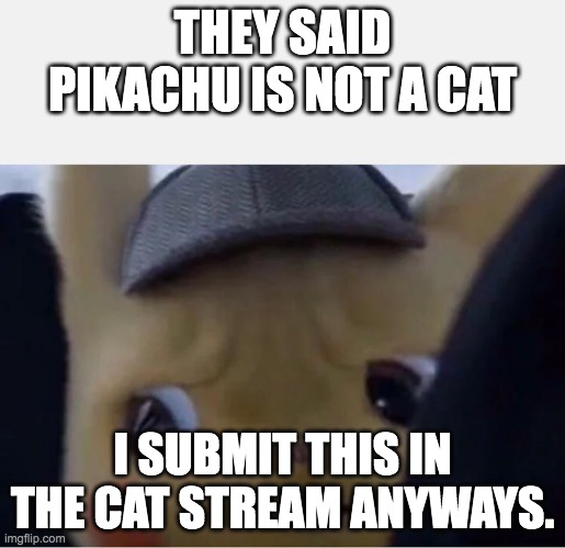 Pikachu is a cat | THEY SAID PIKACHU IS NOT A CAT; I SUBMIT THIS IN THE CAT STREAM ANYWAYS. | image tagged in pikachu,cats,airplane,funny memes,pokemon | made w/ Imgflip meme maker