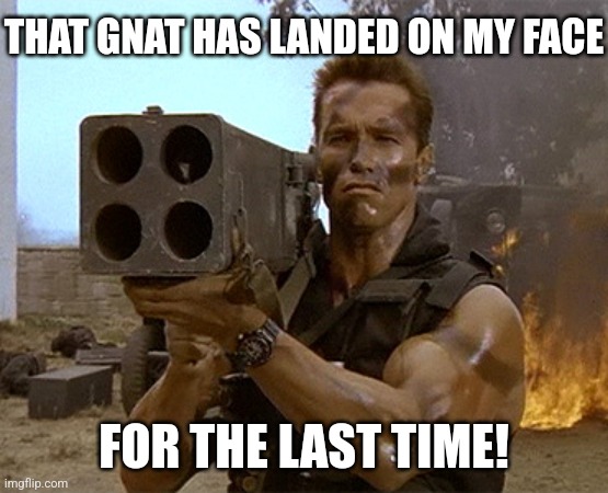 If a 100 ft tall giant was ready to crush me, I wouldn't continously try to walk on its face. But bugs...they are dumb | THAT GNAT HAS LANDED ON MY FACE; FOR THE LAST TIME! | image tagged in arnold schwarzenegger commando,bugs,special kind of stupid | made w/ Imgflip meme maker