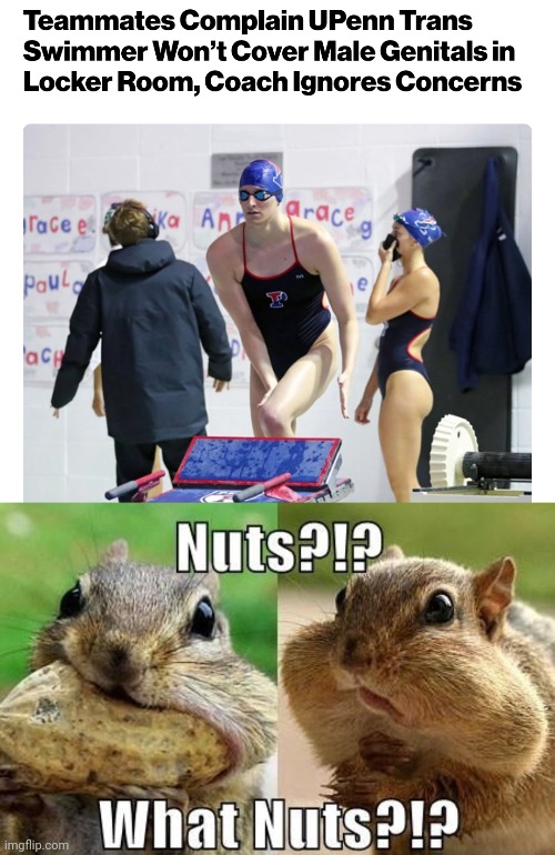 image tagged in funny memes | made w/ Imgflip meme maker