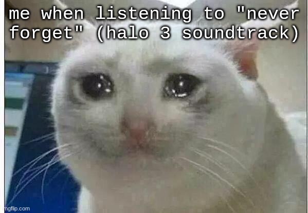 Never forget the UNSC Marines, Miranda Keyes, (all those times i died on Legendary), and all the rest... | me when listening to "never forget" (halo 3 soundtrack) | image tagged in crying cat,halo | made w/ Imgflip meme maker