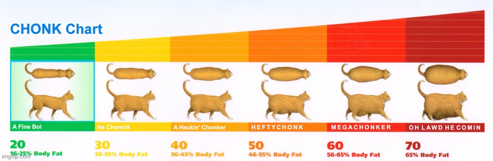 Chonk Chart | image tagged in chonk chart | made w/ Imgflip meme maker