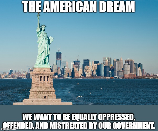 The American Dream | THE AMERICAN DREAM; WE WANT TO BE EQUALLY OPPRESSED, OFFENDED, AND MISTREATED BY OUR GOVERNMENT. | image tagged in american dream | made w/ Imgflip meme maker