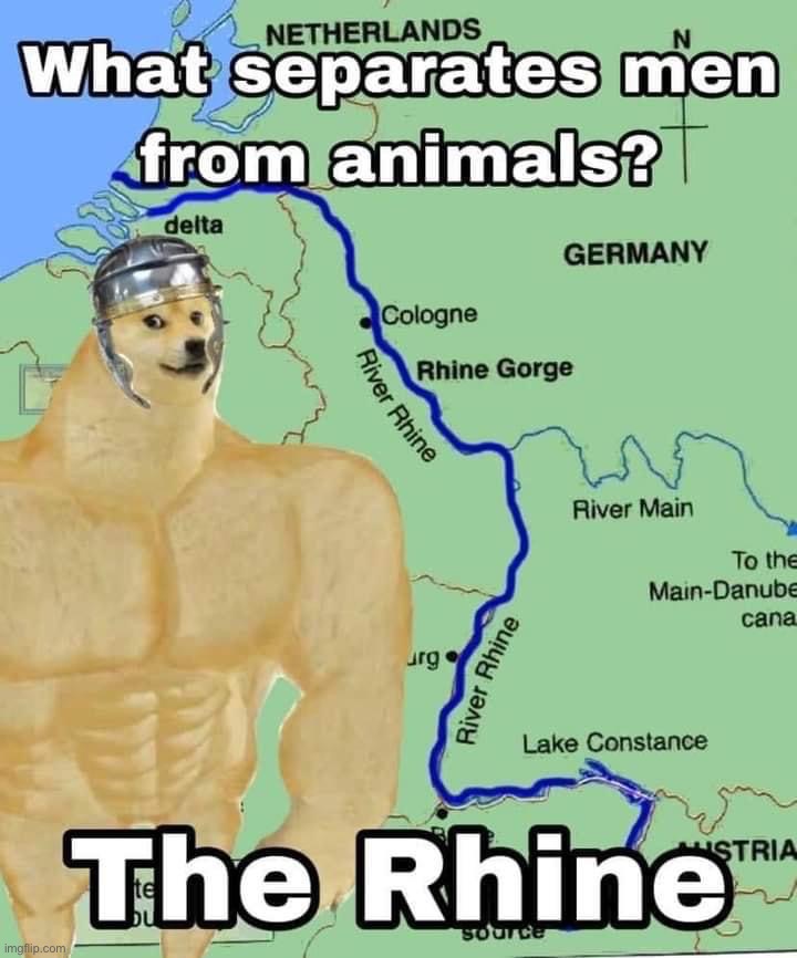 based Western Civilization doge | image tagged in what separates men from animals the rhine,based,roman,dog,western,civilization | made w/ Imgflip meme maker