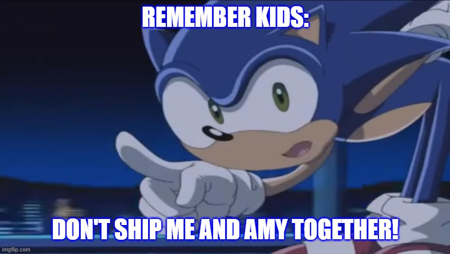 Sonic hates Sonamy | REMEMBER KIDS:; DON'T SHIP ME AND AMY TOGETHER! | image tagged in kids don't - sonic x | made w/ Imgflip meme maker