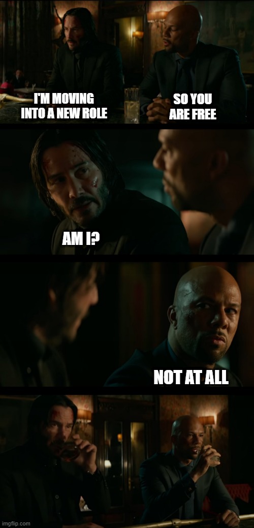 Am I free, No | SO YOU ARE FREE; I'M MOVING INTO A NEW ROLE; AM I? NOT AT ALL | image tagged in john wick cassian bar scene | made w/ Imgflip meme maker