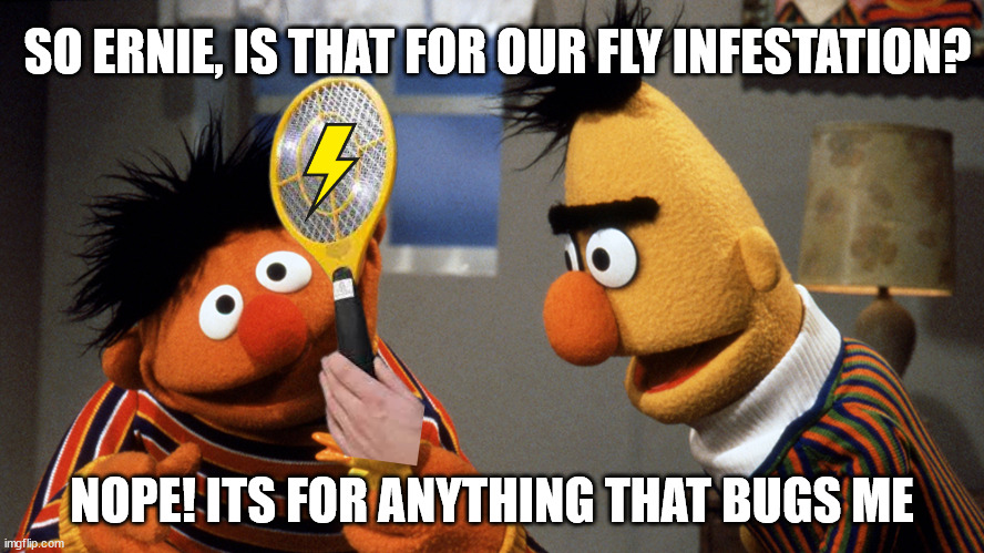 Ernie discovers the electrical flyswatter | SO ERNIE, IS THAT FOR OUR FLY INFESTATION? NOPE! ITS FOR ANYTHING THAT BUGS ME | image tagged in ernie and bert discuss rubber duckie,dark hurmor,flies | made w/ Imgflip meme maker