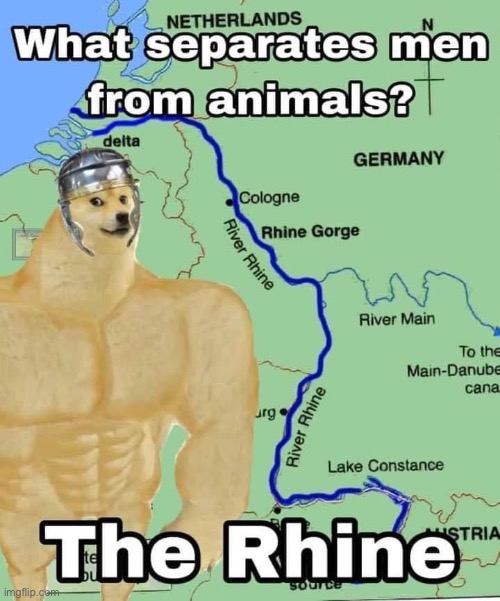 What separates men from animals the Rhine | image tagged in what separates men from animals the rhine | made w/ Imgflip meme maker