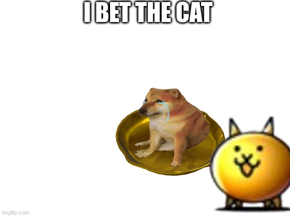 I BET THE CAT | made w/ Imgflip meme maker