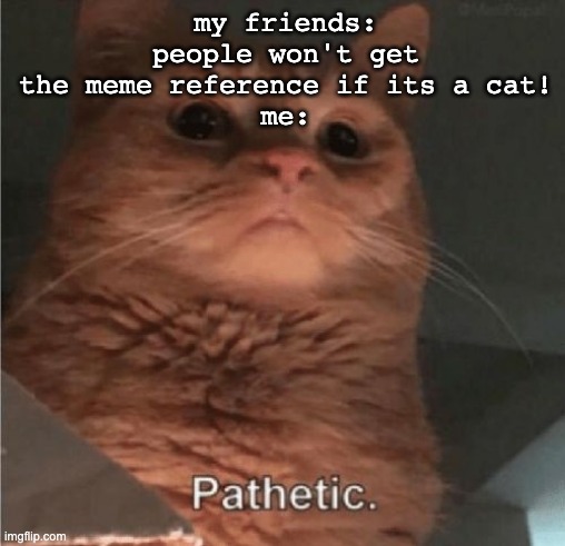 Pathetic Cat | my friends: people won't get the meme reference if its a cat!
me: | image tagged in pathetic cat | made w/ Imgflip meme maker