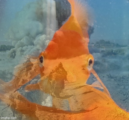 Fish PTSD | image tagged in fish ptsd | made w/ Imgflip meme maker