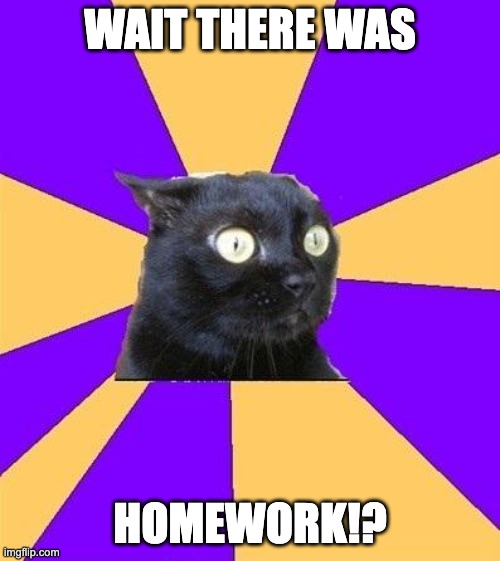 anxiety cat | WAIT THERE WAS; HOMEWORK!? | image tagged in anxiety cat | made w/ Imgflip meme maker