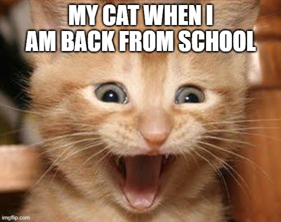 My cat is very happy | MY CAT WHEN I AM BACK FROM SCHOOL | image tagged in memes,excited cat,funny memes,cat,cats,lol | made w/ Imgflip meme maker