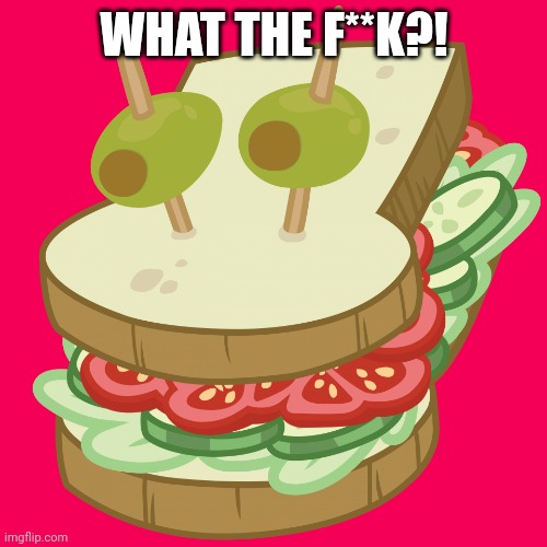 Sandwich Armor (MLP) | WHAT THE F**K?! | image tagged in sandwich armor mlp | made w/ Imgflip meme maker