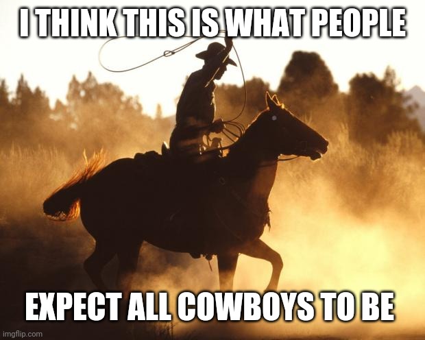 Honestly tho | I THINK THIS IS WHAT PEOPLE; EXPECT ALL COWBOYS TO BE | image tagged in cowboy lasso,cowboys | made w/ Imgflip meme maker
