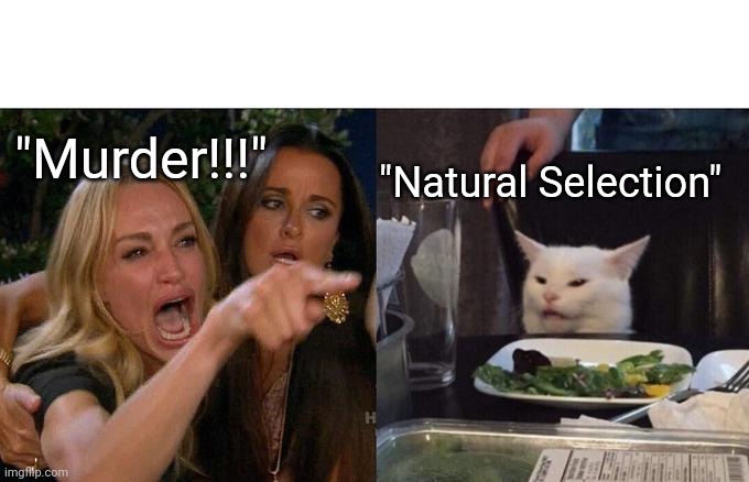 Woman Yelling At Cat | "Murder!!!"; "Natural Selection" | image tagged in memes,woman yelling at cat | made w/ Imgflip meme maker