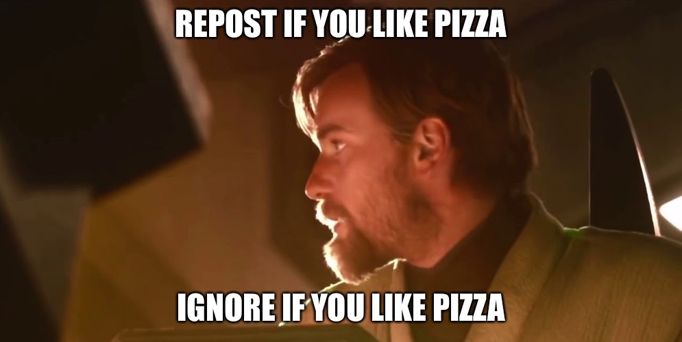 Not to worry, we are still flying half a ship. | REPOST IF YOU LIKE PIZZA; IGNORE IF YOU LIKE PIZZA | image tagged in not to worry we are still flying half a ship | made w/ Imgflip meme maker