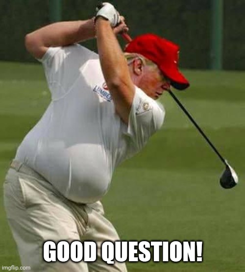 trump golf gut | GOOD QUESTION! | image tagged in trump golf gut | made w/ Imgflip meme maker