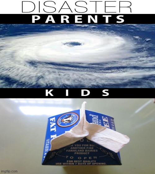 what parents think a disaster is vs what kids think a disaster is | image tagged in blank white template | made w/ Imgflip meme maker