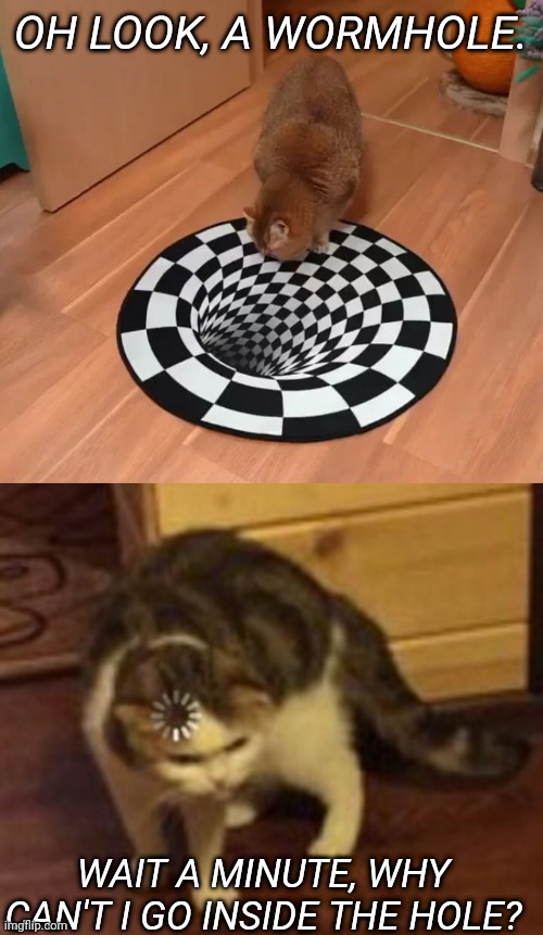 A Cat Sees a Wormhole | OH LOOK, A WORMHOLE. WAIT A MINUTE, WHY CAN'T I GO INSIDE THE HOLE? | image tagged in a cat staring at an optical illusion,loading cat,memes,funny,cats,wormhole | made w/ Imgflip meme maker