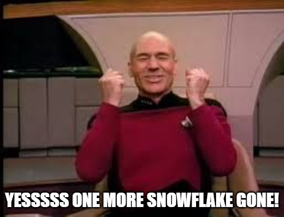 Picard yessssss | YESSSSS ONE MORE SNOWFLAKE GONE! | image tagged in picard yessssss | made w/ Imgflip meme maker