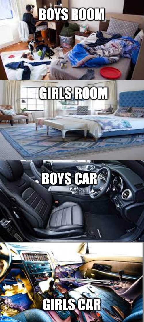 its true | BOYS ROOM; GIRLS ROOM; BOYS CAR; GIRLS CAR | image tagged in memes,inhaling seagull | made w/ Imgflip meme maker
