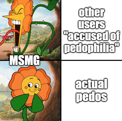 is TheLargePig an actual pedo, or he just joking | other users "accused of pedophilia"; MSMG; actual pedos | image tagged in angry flower,add yes or no in tags,yes | made w/ Imgflip meme maker