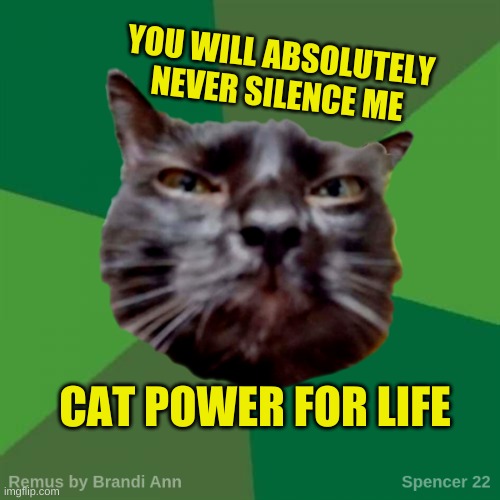 Remus | YOU WILL ABSOLUTELY
NEVER SILENCE ME; CAT POWER FOR LIFE | image tagged in remus,you underestimate my power,what if i told you,one does not simply,cats,never | made w/ Imgflip meme maker