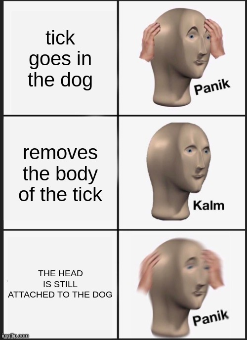 science meme | tick goes in the dog; removes the body of the tick; THE HEAD IS STILL ATTACHED TO THE DOG | image tagged in memes,panik kalm panik | made w/ Imgflip meme maker