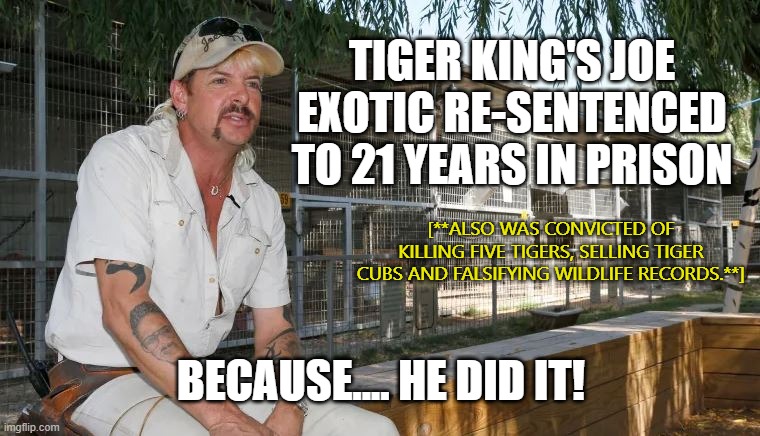 Joe Exotic proven guilty and sentenced. | TIGER KING'S JOE EXOTIC RE-SENTENCED TO 21 YEARS IN PRISON; [**ALSO WAS CONVICTED OF KILLING FIVE TIGERS, SELLING TIGER CUBS AND FALSIFYING WILDLIFE RECORDS.**]; BECAUSE.... HE DID IT! | image tagged in tiger king,joe exotic,carole baskin,joseph maldonado-passage,killer,conservatives | made w/ Imgflip meme maker