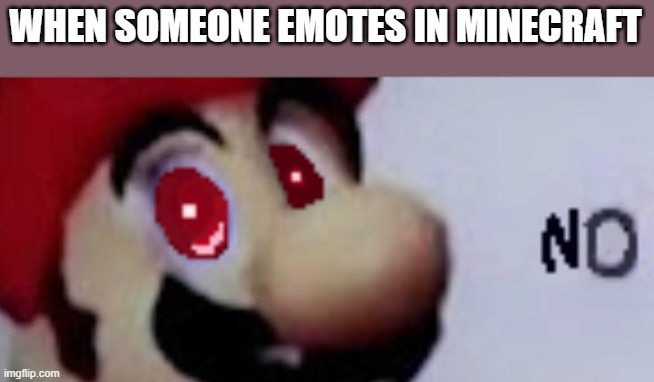 Mari-NO | WHEN SOMEONE EMOTES IN MINECRAFT | image tagged in mari-no | made w/ Imgflip meme maker