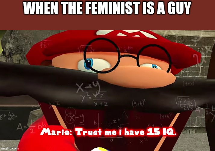 Feminists hate men | WHEN THE FEMINIST IS A GUY | image tagged in trust me i have 15 iq | made w/ Imgflip meme maker