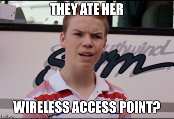 You Guys are Getting Paid | THEY ATE HER WIRELESS ACCESS POINT? | image tagged in you guys are getting paid | made w/ Imgflip meme maker