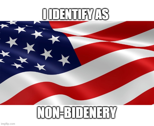 I IDENTIFY AS; NON-BIDENERY | image tagged in identify | made w/ Imgflip meme maker