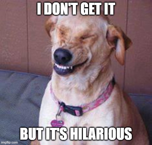 funny dog |  I DON'T GET IT; BUT IT'S HILARIOUS | image tagged in funny dog | made w/ Imgflip meme maker