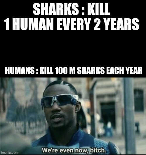 We're even now bitch | SHARKS : KILL 1 HUMAN EVERY 2 YEARS; HUMANS : KILL 100 M SHARKS EACH YEAR | image tagged in we're even now bitch | made w/ Imgflip meme maker