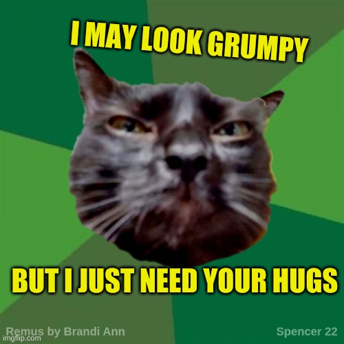 Remus | I MAY LOOK GRUMPY; BUT I JUST NEED YOUR HUGS | image tagged in remus,grumpy cat,hugs,free hugs,cuddle,i love you | made w/ Imgflip meme maker